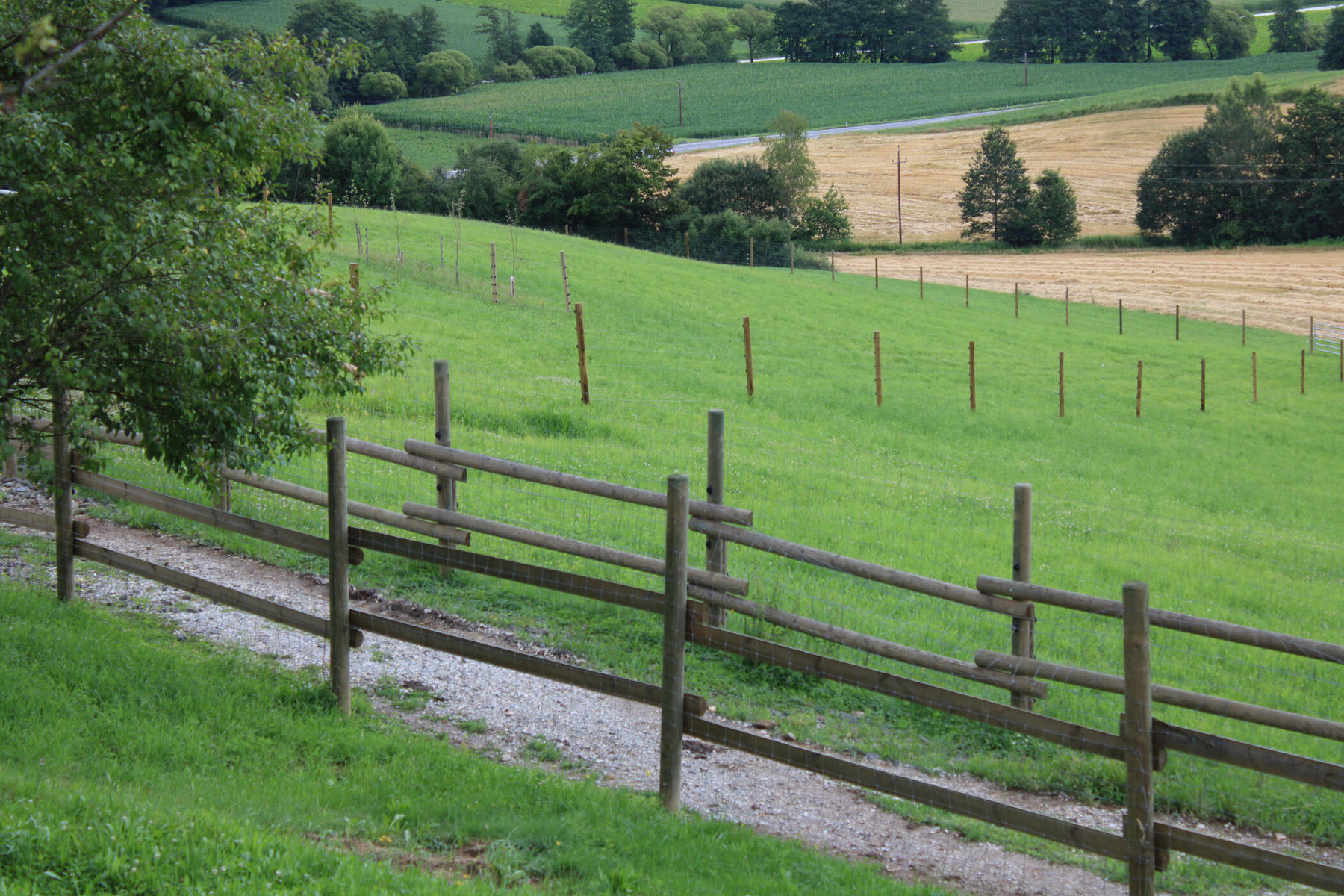 Felder der Tatanka Bisonzucht