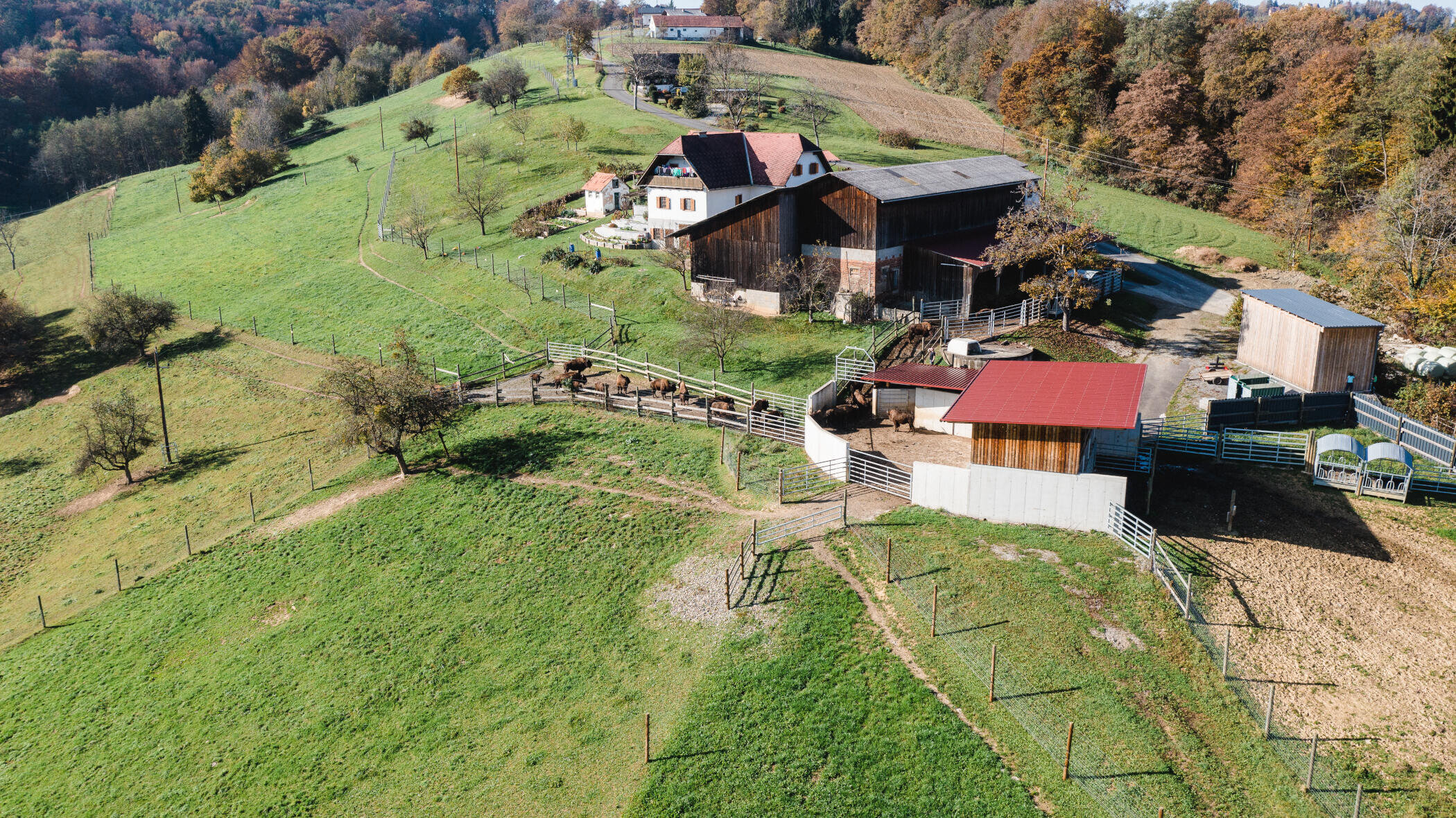 Hof von Tatanka Bisonzucht